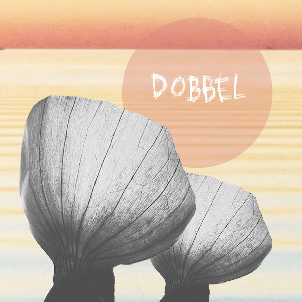 Picture of Dobbel