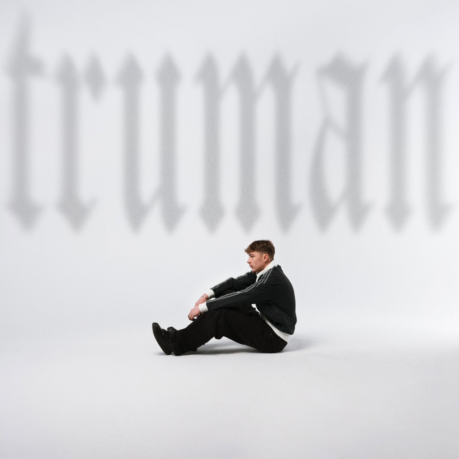 Album cover of TRUMAN