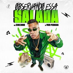 Cover of Observando Essa Salada