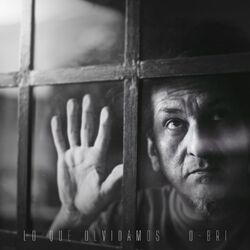 Cover of Lo que olvidamos