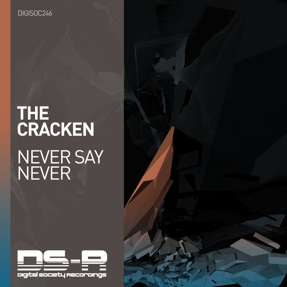 Picture of Never Say Never