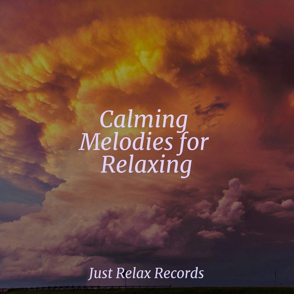 Picture of Calming Melodies for Relaxing