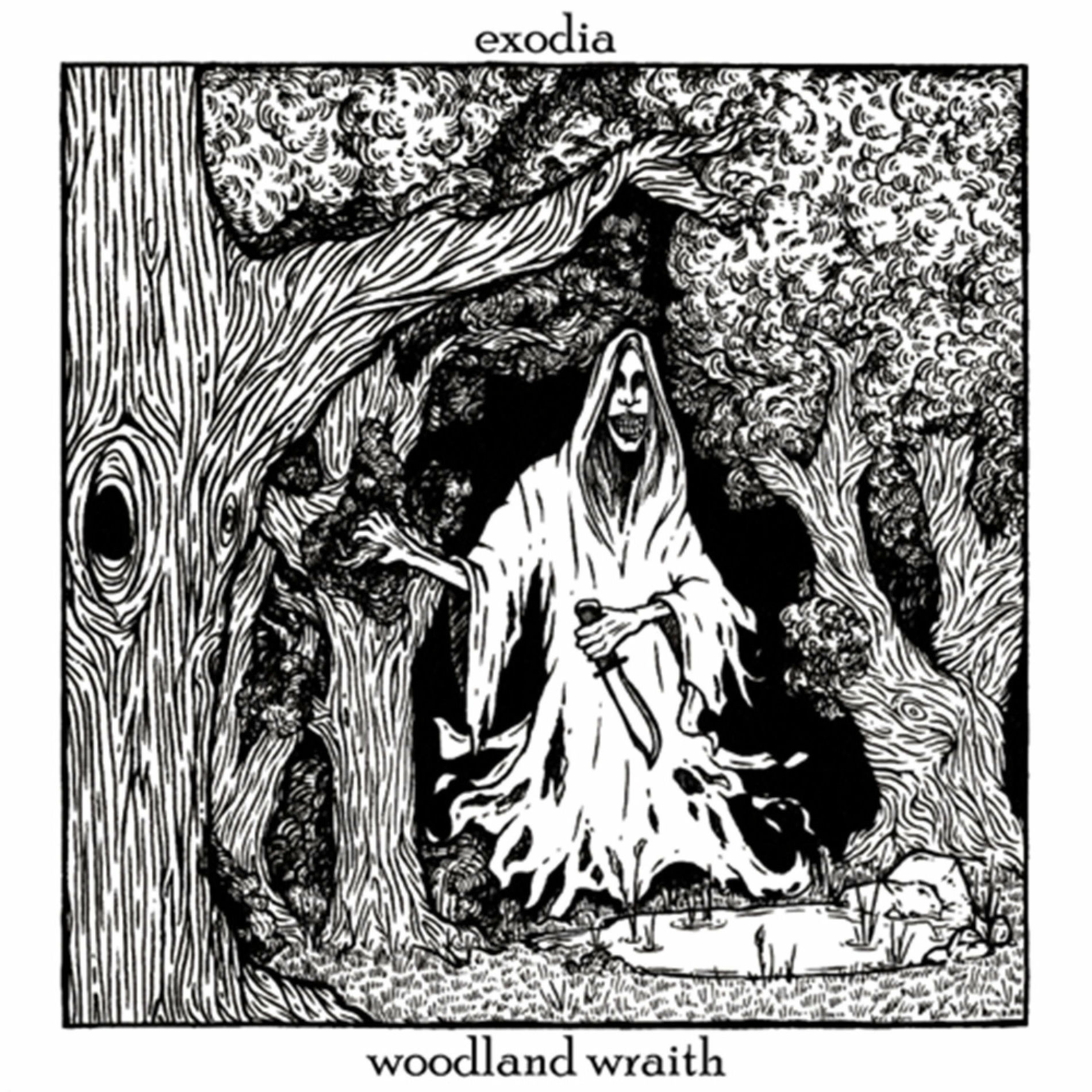 Album cover of Woodland Wraith