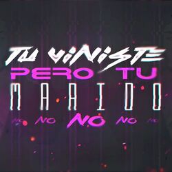Cover of Tu Viniste Pero Tu Marido No