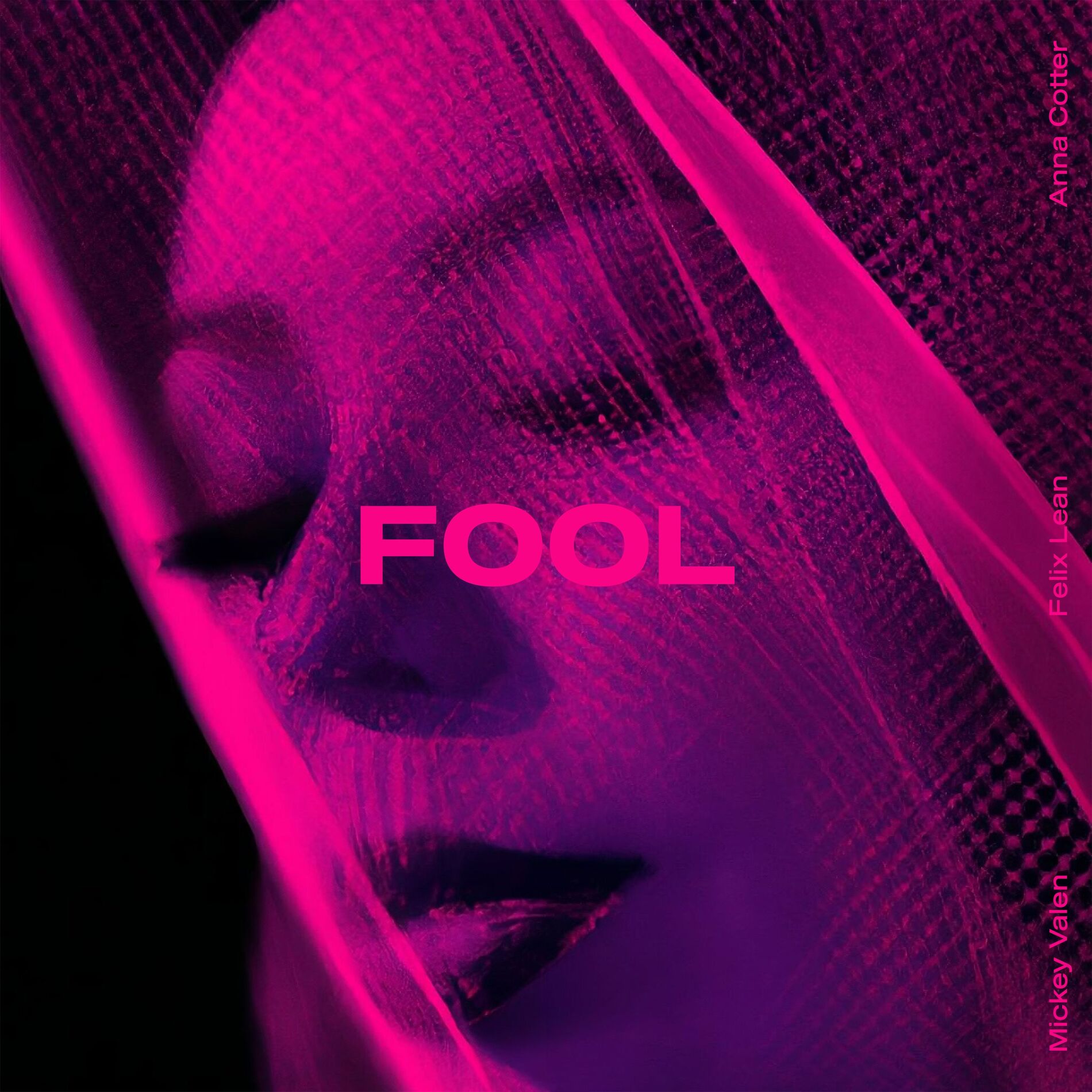 Album cover of Fool