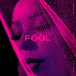 Cover of Fool