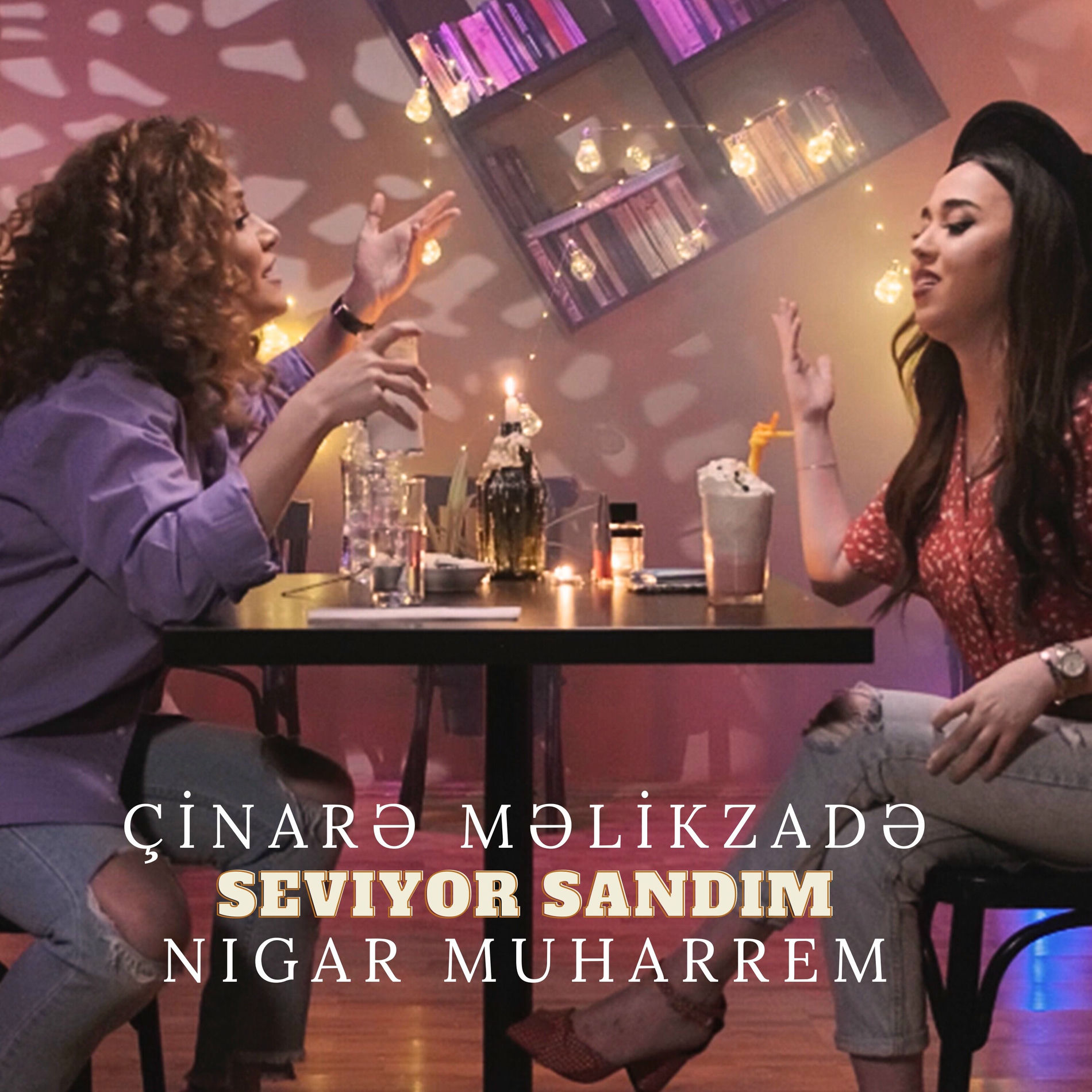 Album cover of Seviyor Sandım