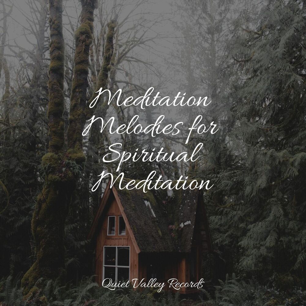 Picture of Meditation Melodies for Spiritual Meditation