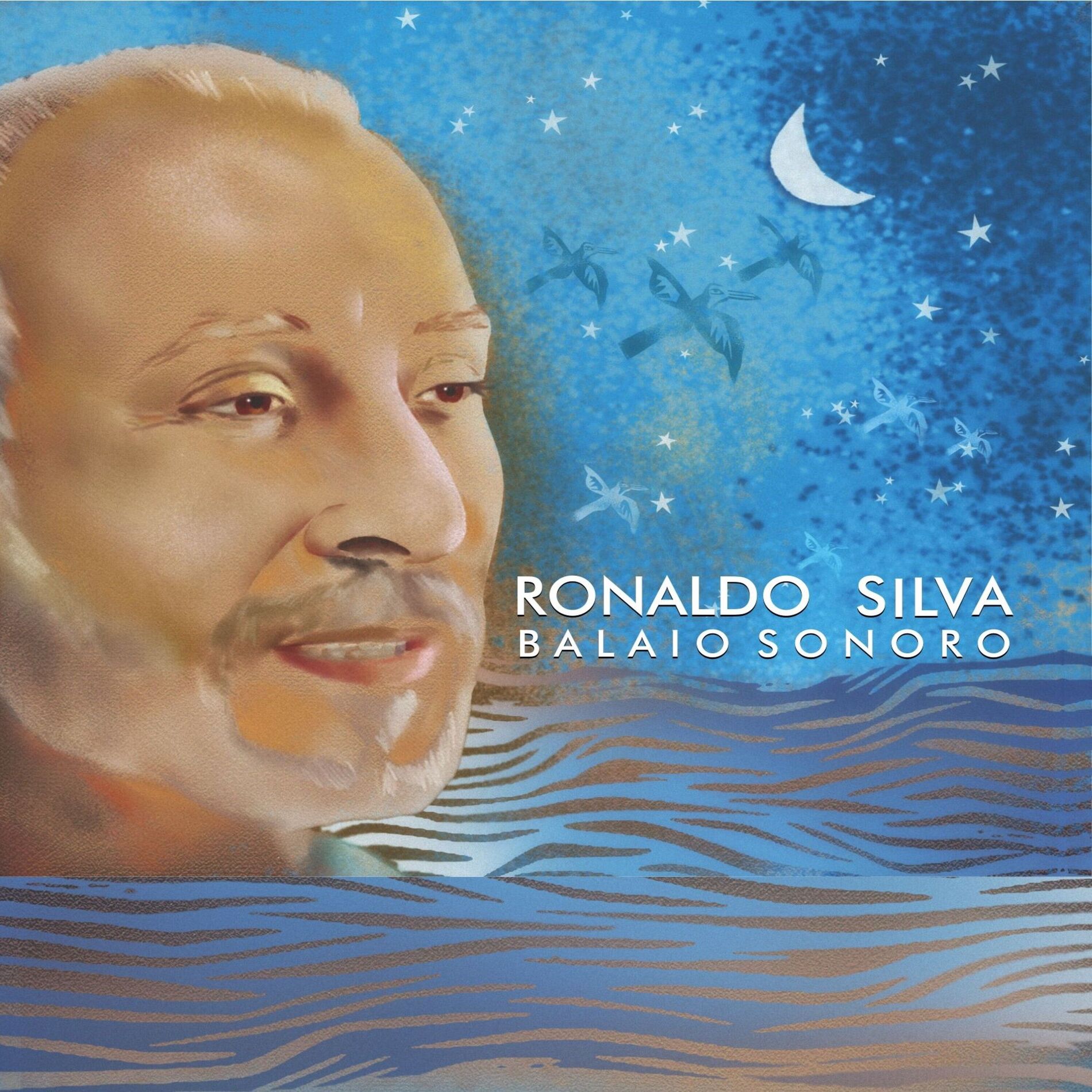 Album cover of Balaio Sonoro