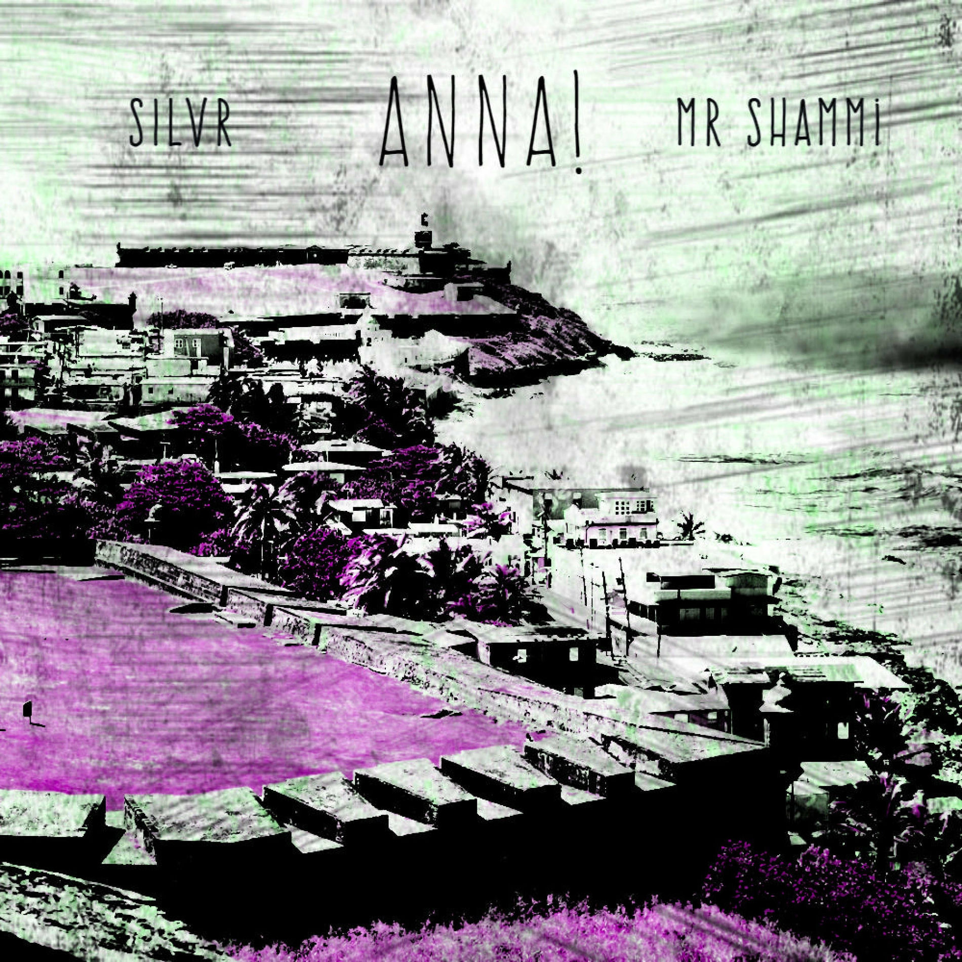 Album cover of Anna! (feat. Mr. Shammi)