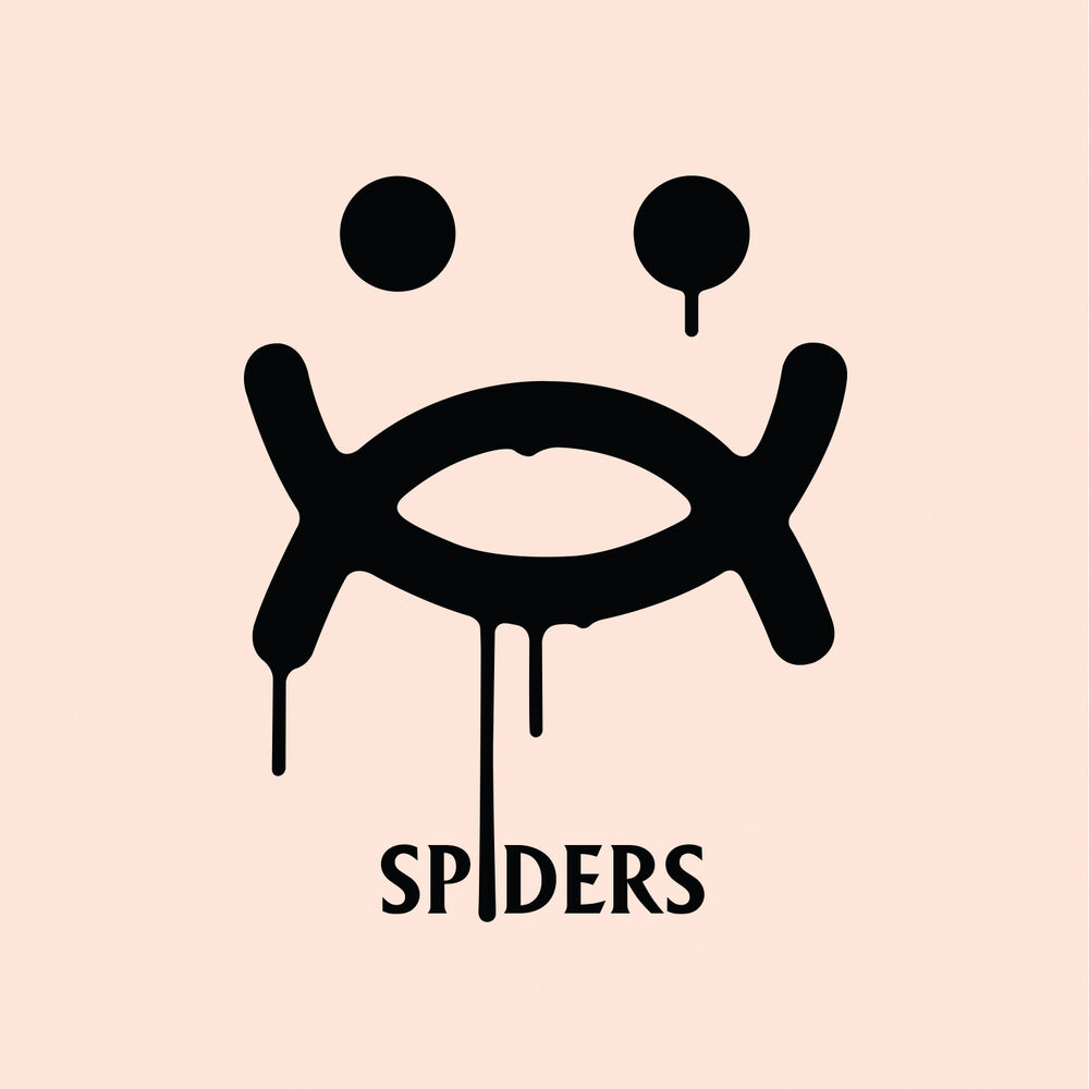 Picture of Spiders