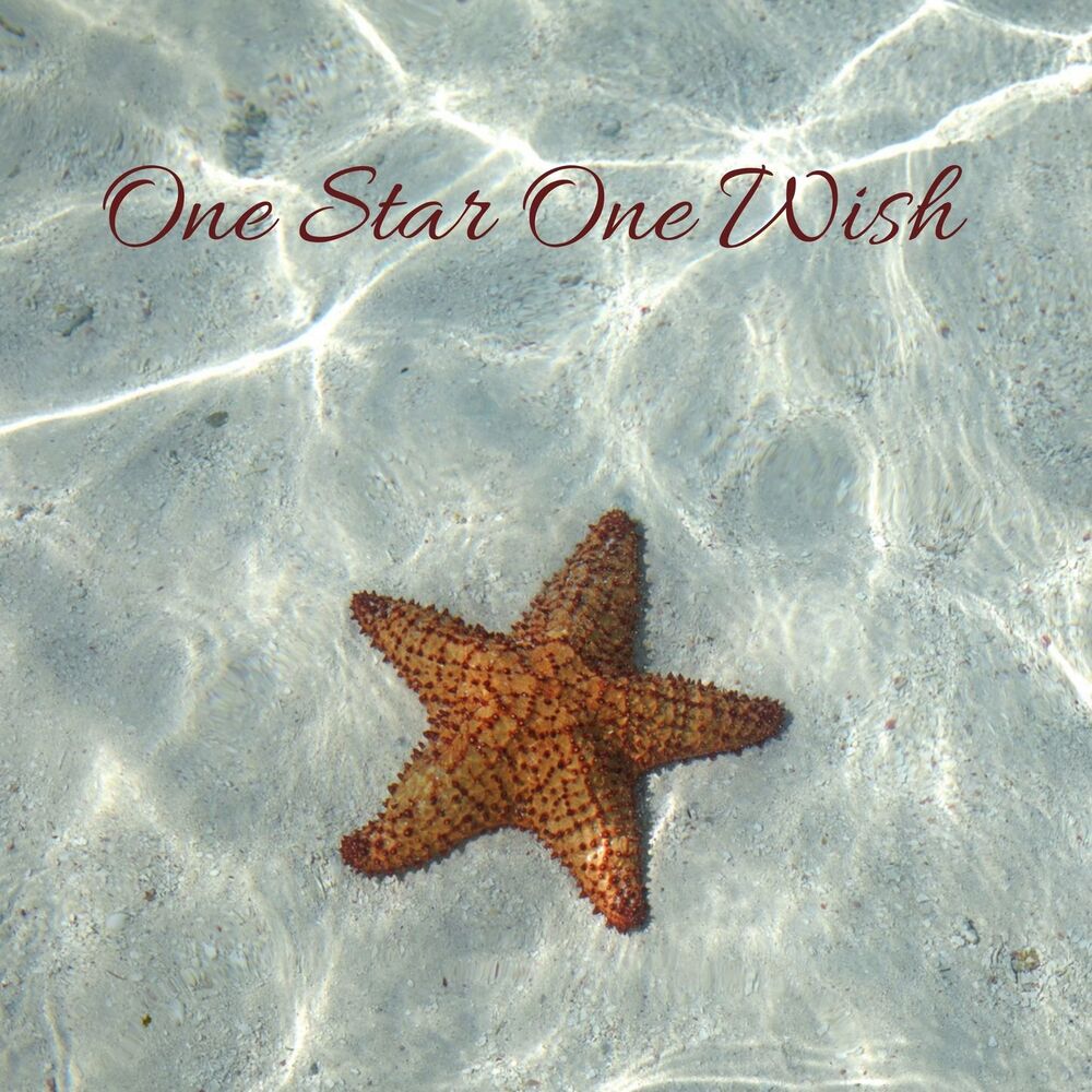 Picture of One Star One Wish