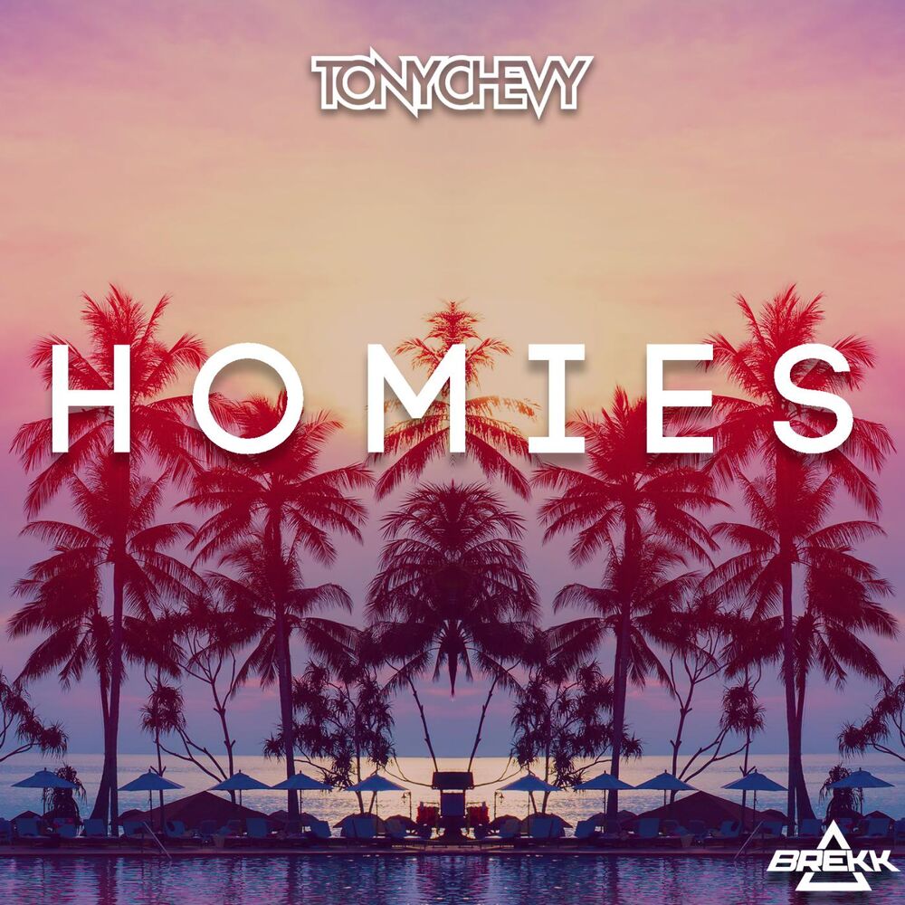 Picture of Homies (feat. Brekk)