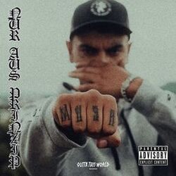 Cover of NUR AUS PRINZIP