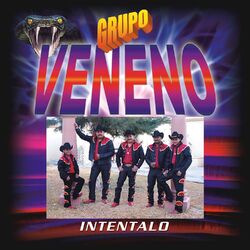Cover of Inténtalo