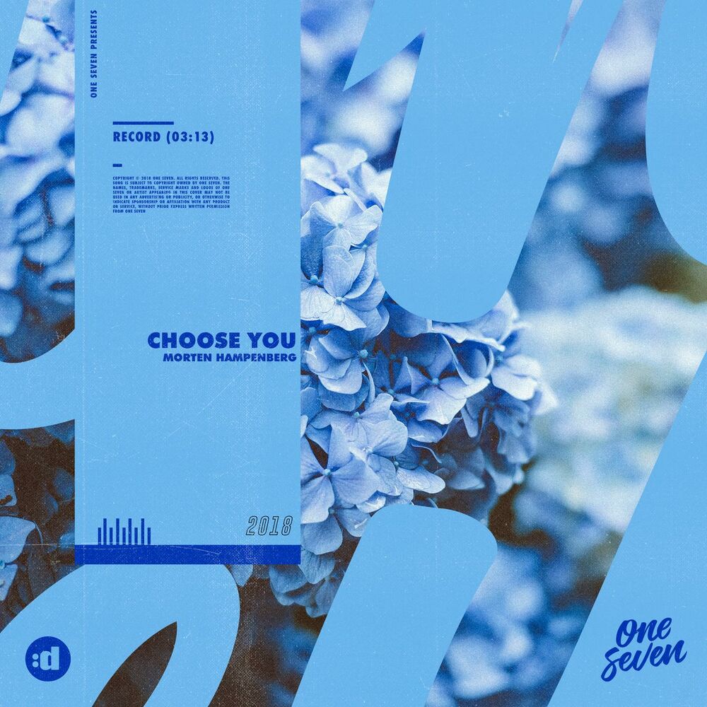 Picture of Choose You