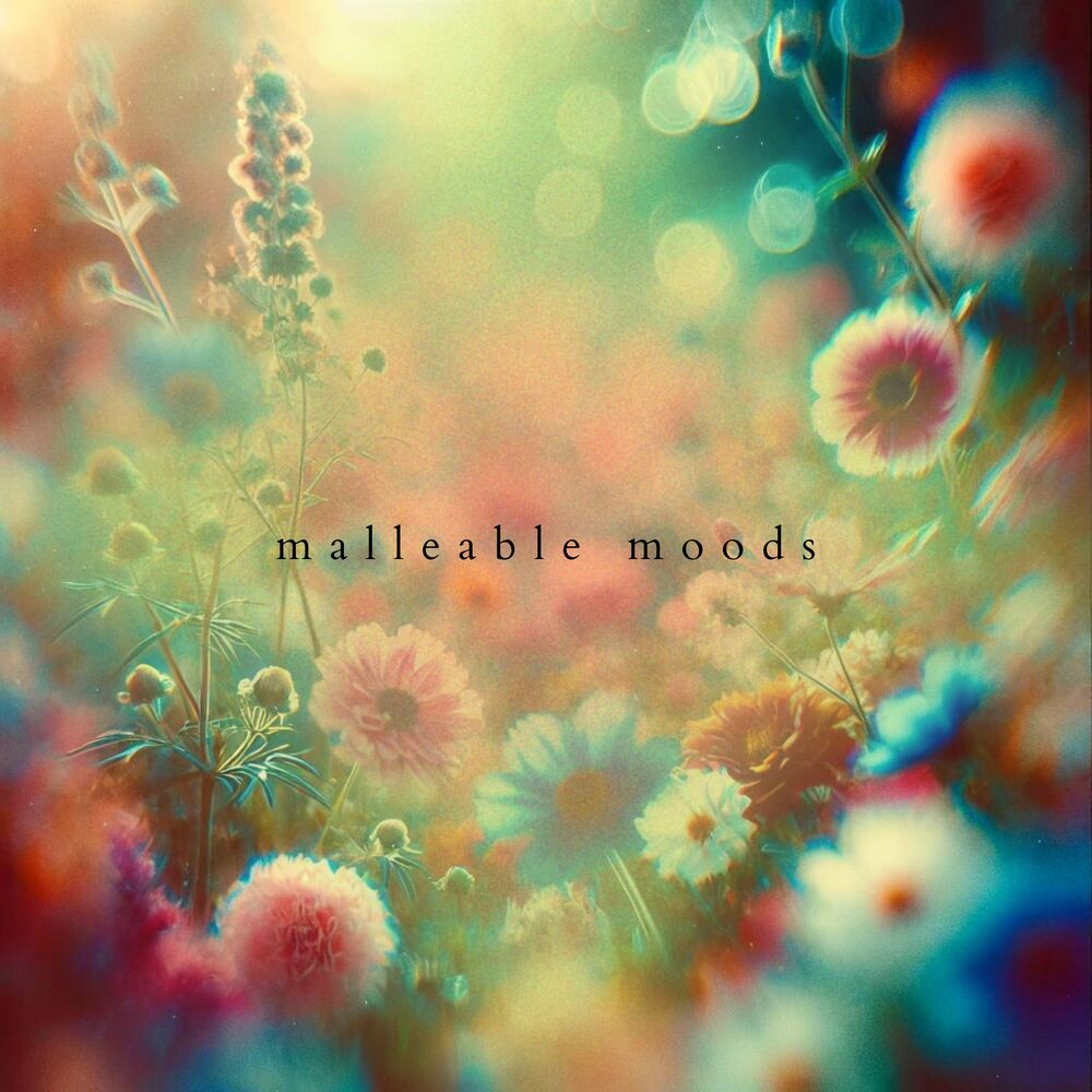 Picture of Malleable Moods (Sound Body Solace)
