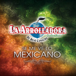 Cover of Se Me Ve Lo Mexicano