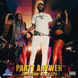Cover of Party Anyweh