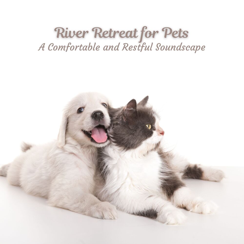 Picture of River Retreat for Pets: A Comfortable and Restful Soundscape