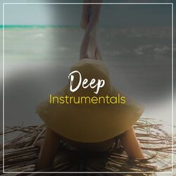 Cover of Deep Instrumentals