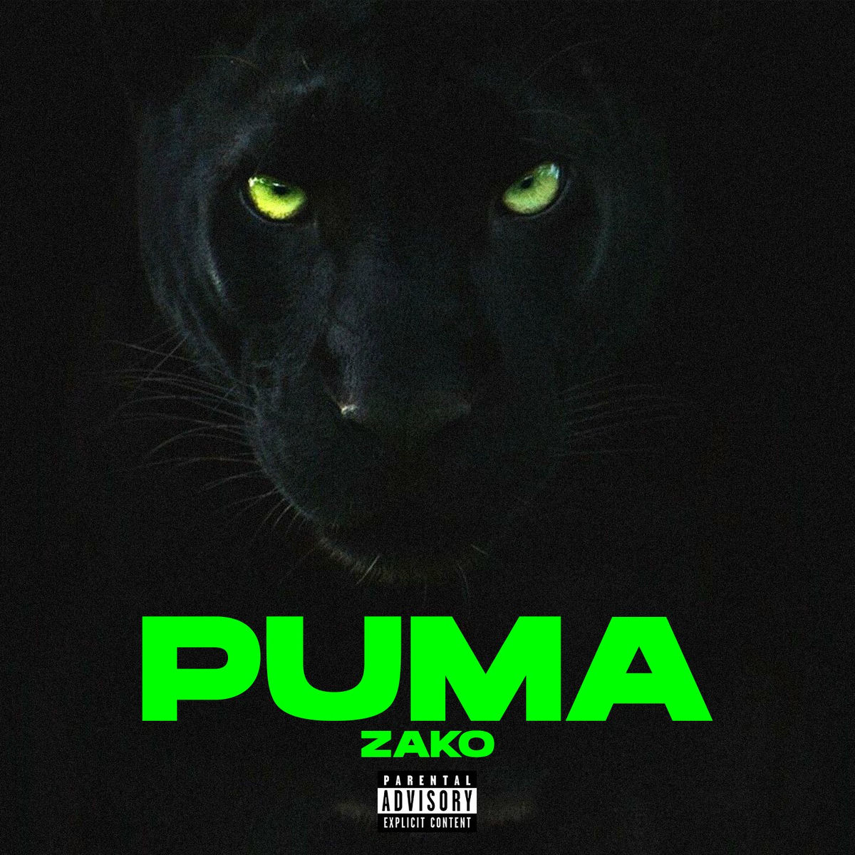 Album cover of Puma