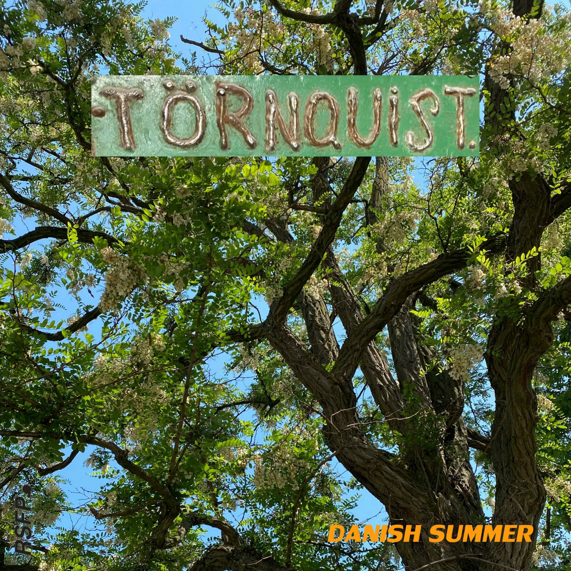 Album cover of Danish Summer