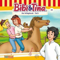 Cover of Folge 13: Die Wildpferde - Teil 1