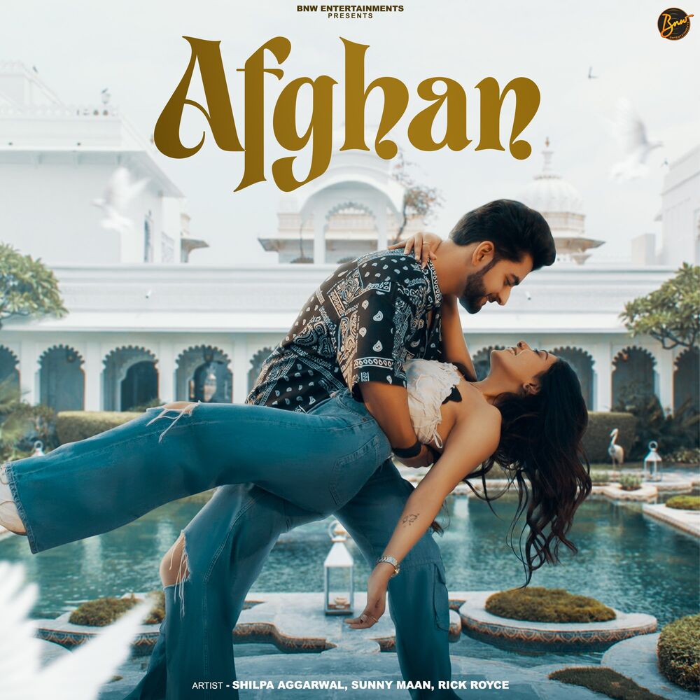 Picture of Afghan