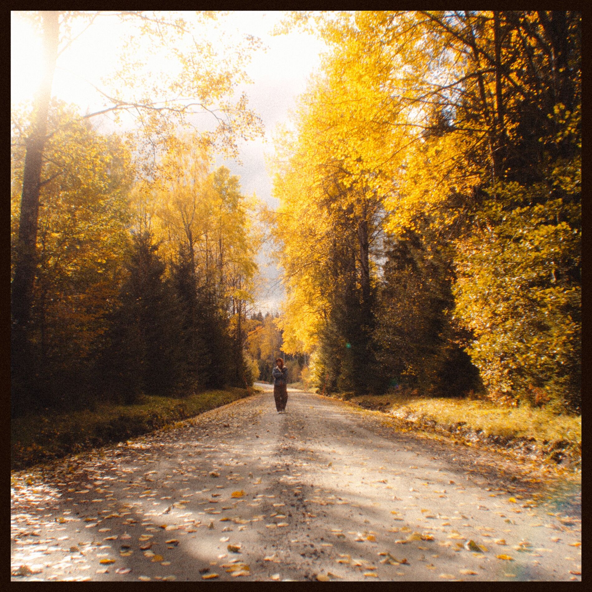 Album cover of ..but the leaves they are changing
