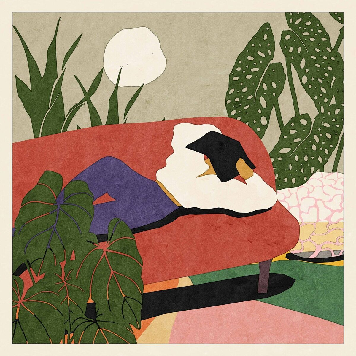 Album cover of Cat Naps