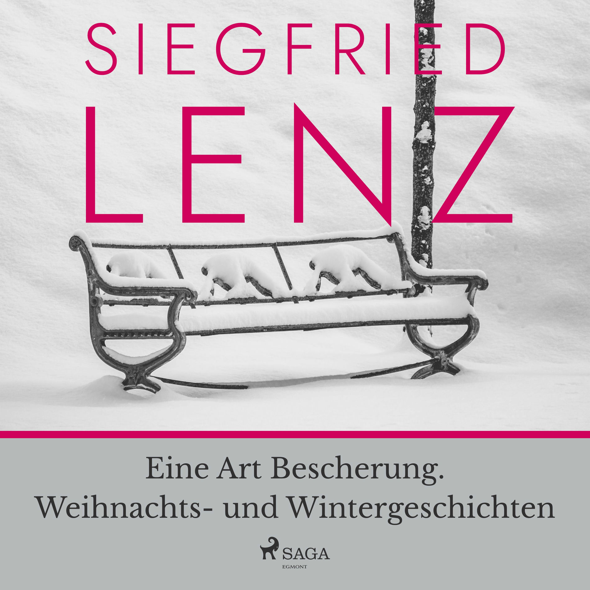 Album cover of Eine Art Bescherung. Weihnachts- und Wintergeschichten