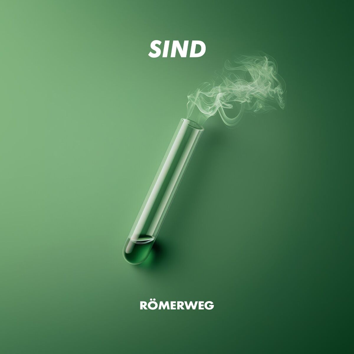 Album cover of Römerweg