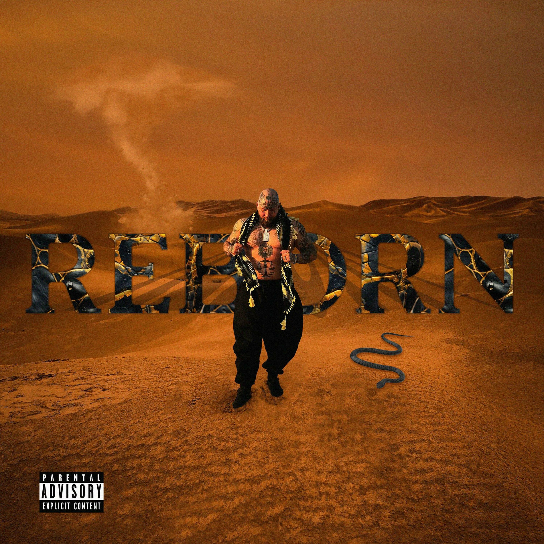 Album cover of REBORN