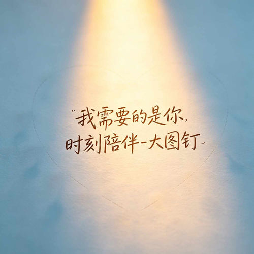 我需要的是你时刻陪伴