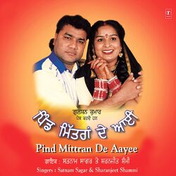Cover of Pind Mittran De Aayee