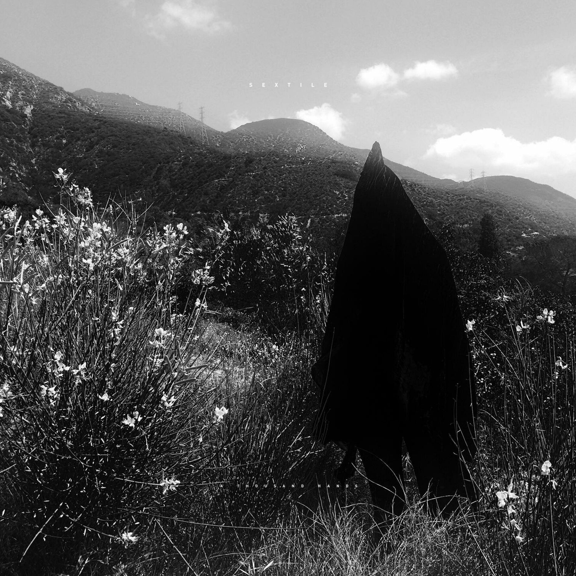 Album cover of Visions of You