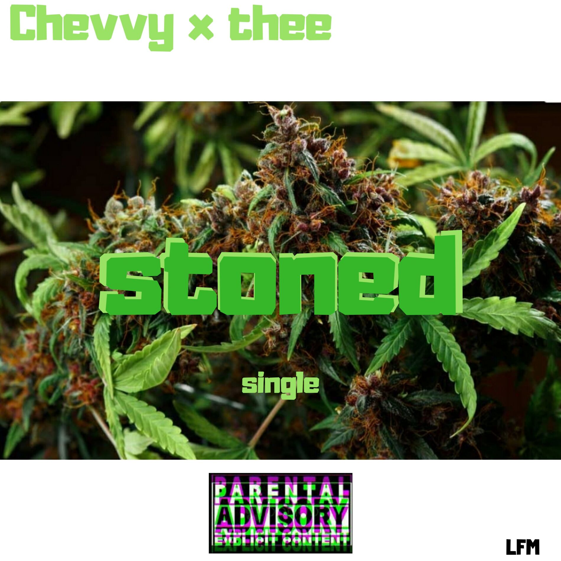 Album cover of Stoned