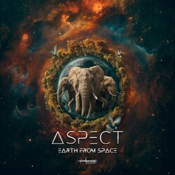 Cover of Earth From Space