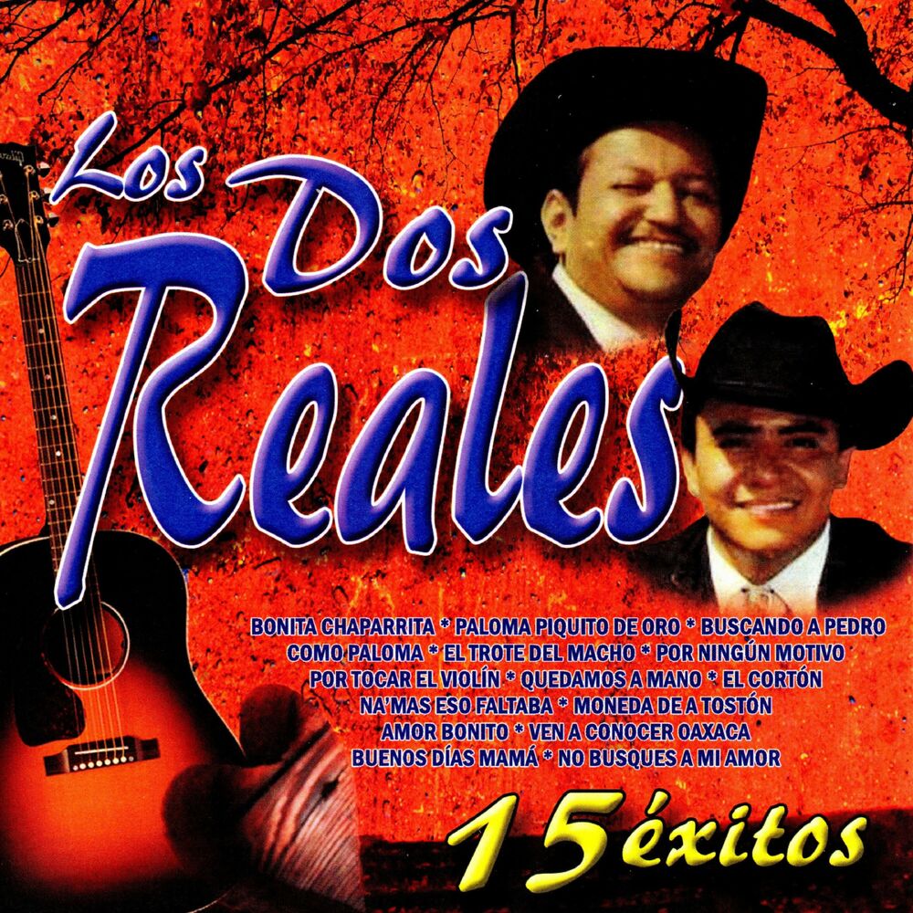 Picture of 15 Exitos