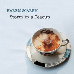 Cover of Storm in a Teacup