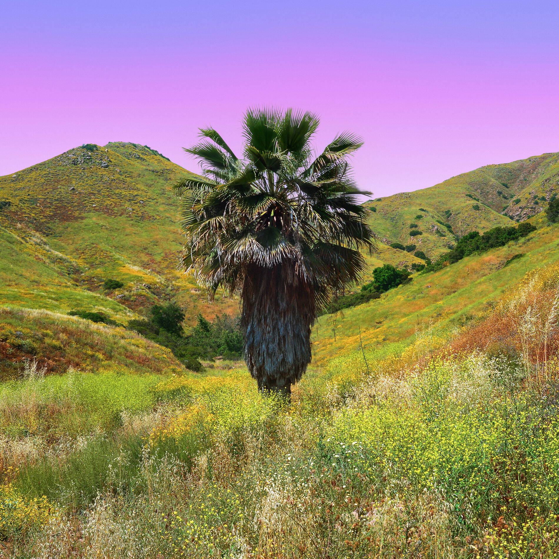 Album cover of Initiative