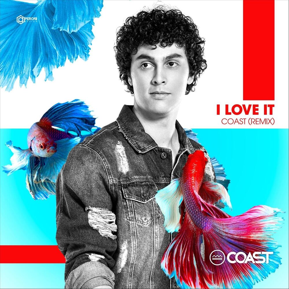 Picture of I Love It (Remix)