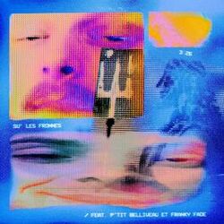 Cover of Su' les fronnes