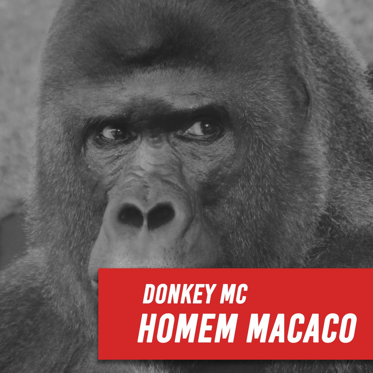 Album cover of Rap do Homem Macaco