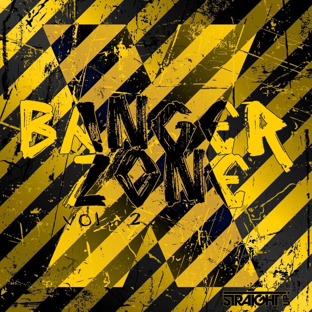 Picture of Banger Zone Vol. 2
