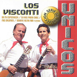 Cover of Unicos