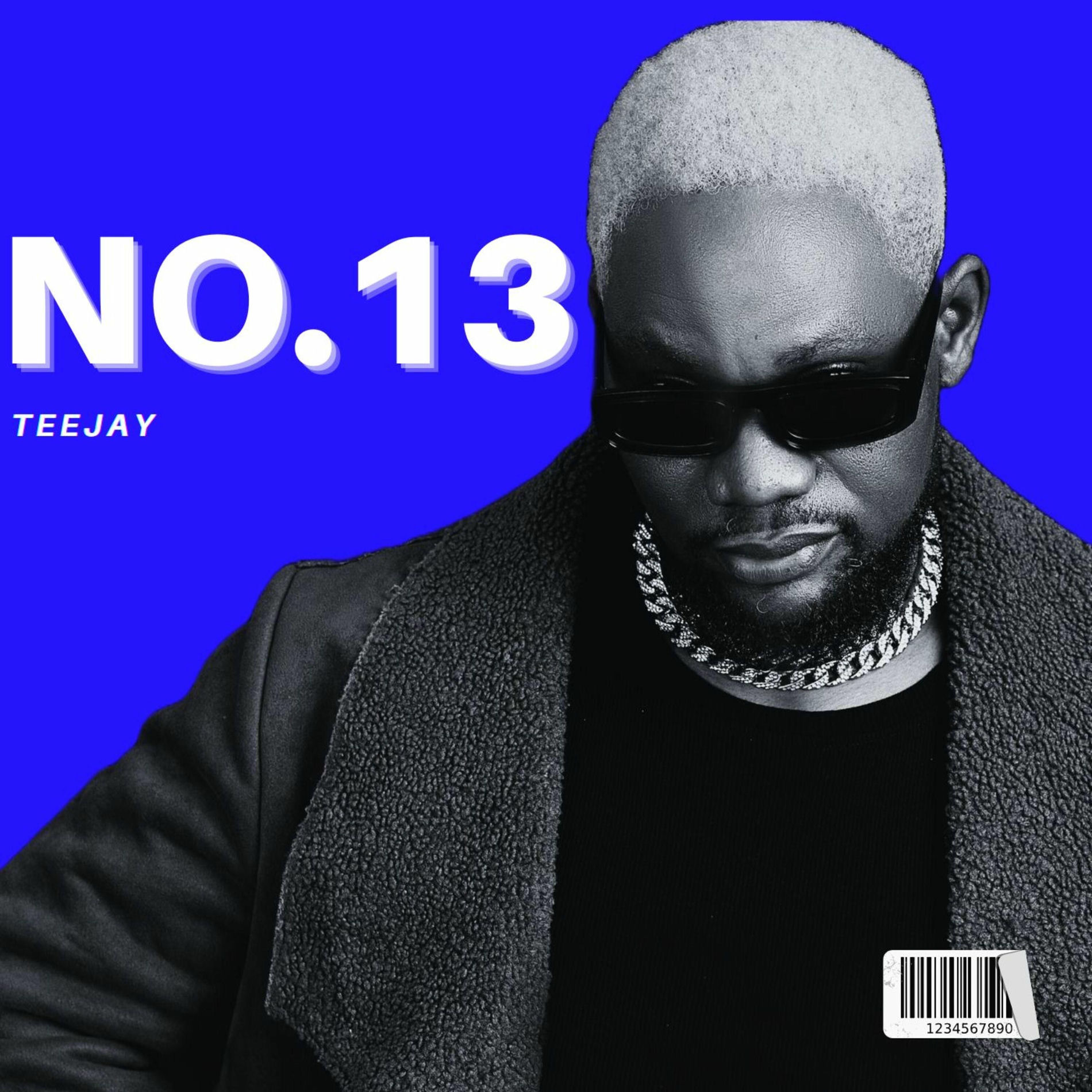 Album cover of NO.13