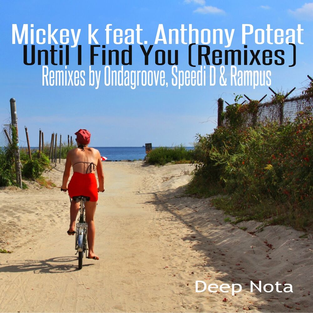 Picture of Until I Find You (Remixes)