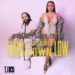 Cover of Turn Your Lights Down Low